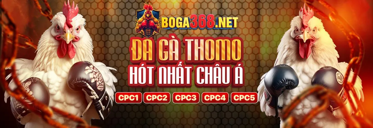 Biểu tượng mạng xã hội Vibet Khuyến Mãi