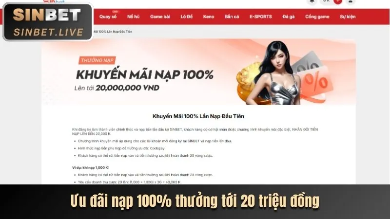 Các đặc quyền độc quyền dành cho thành viên VIP